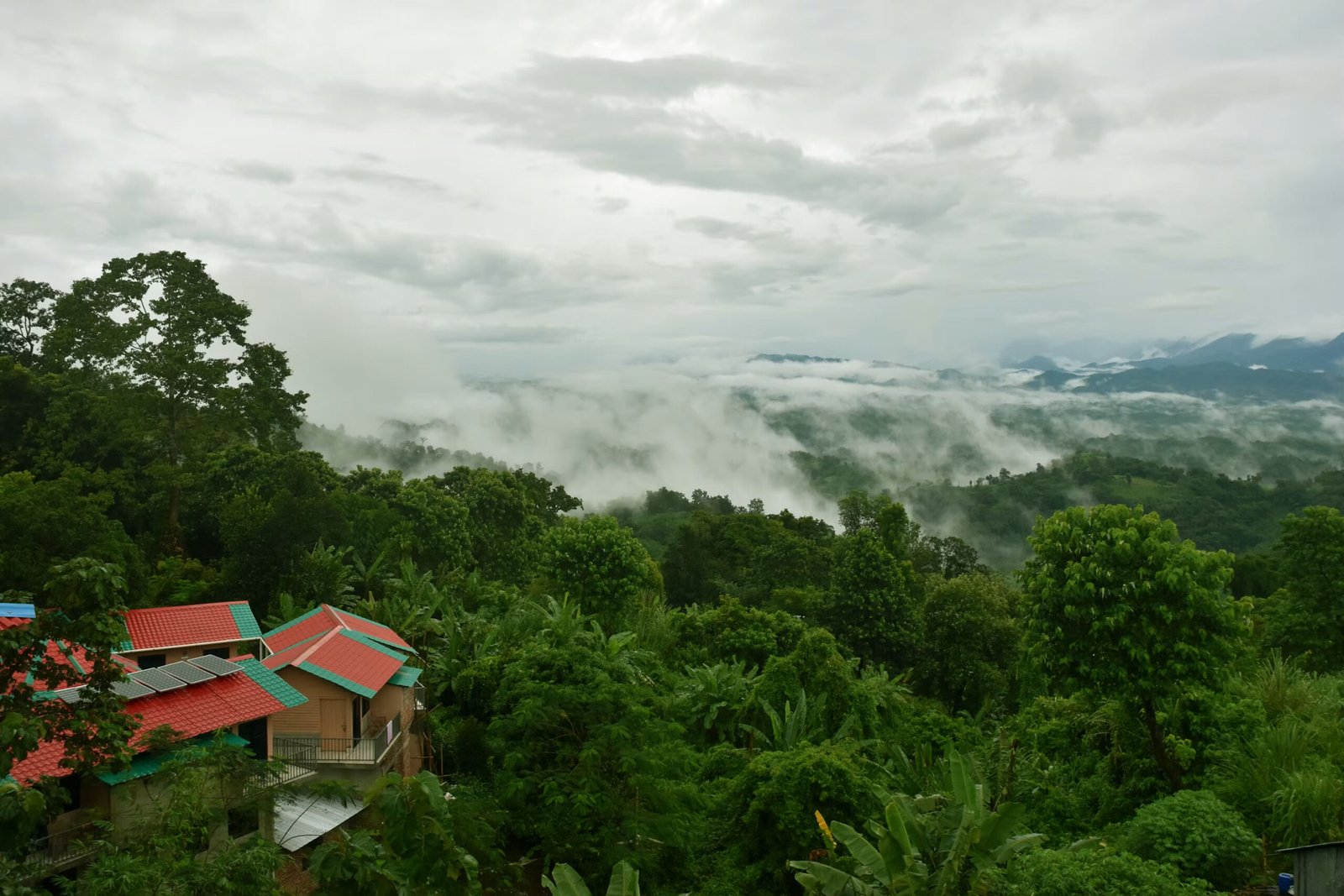 Sajek Valley