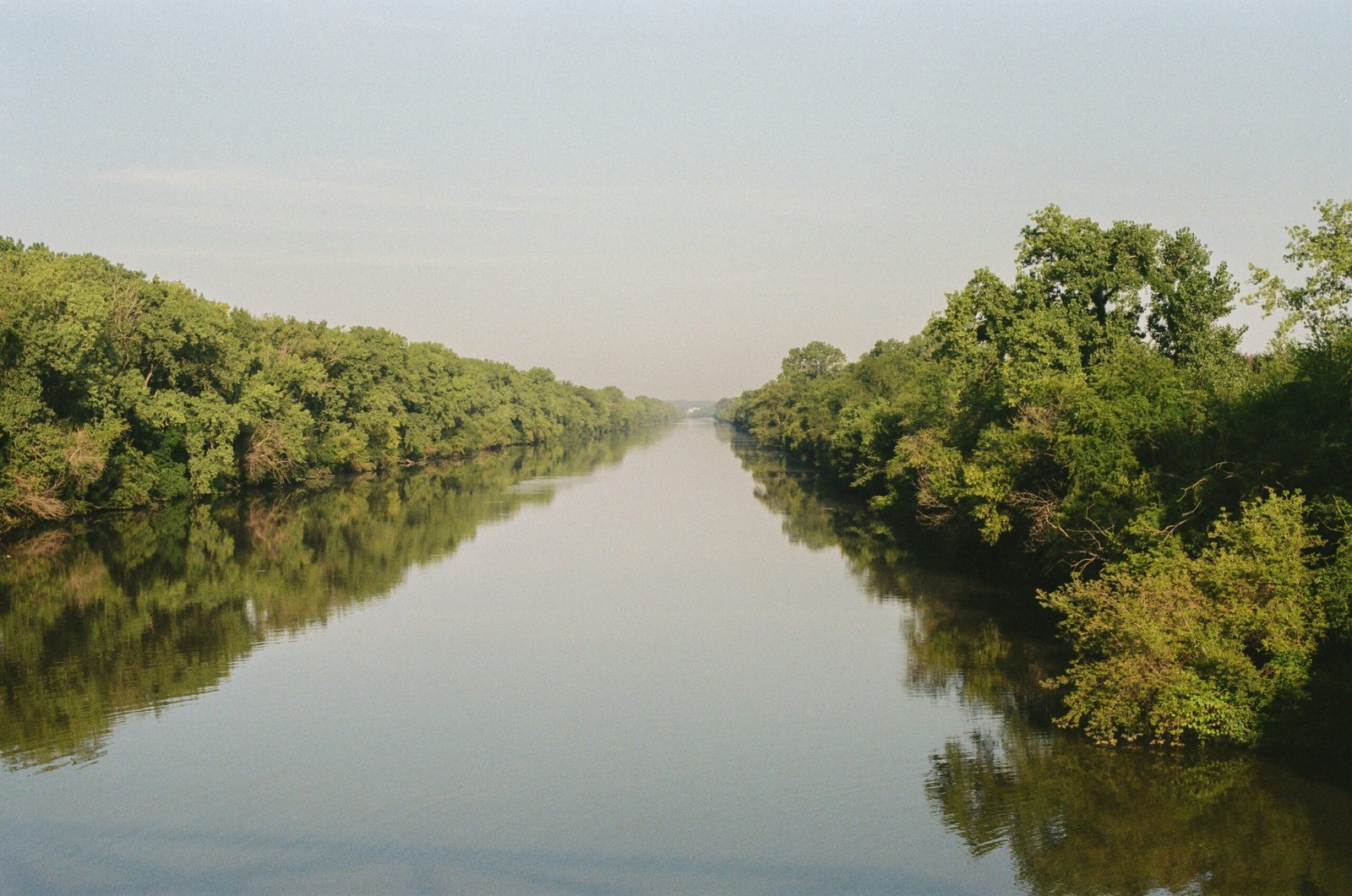 Sundarbans Mangrove Forest
